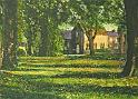 The Green